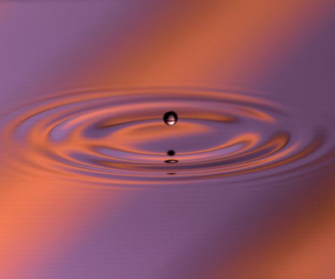 Graphical abstract: Droplet rebounds off a fluid bath: kinematic match simulations and experiments