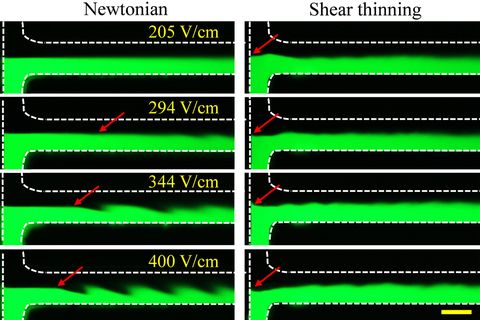 Graphical abstract: Electrokinetic flow instabilities in shear thinning fluids with conductivity gradients