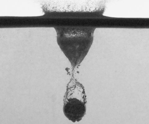 Graphical abstract: Impact of solid spheres onto buoyant granular layers