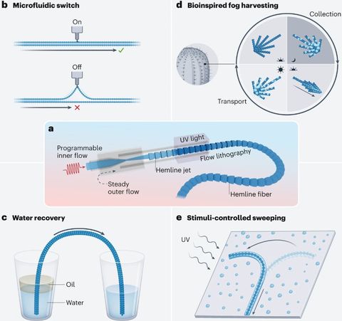 Graphical abstract: Surface-engineered microfibers provide liquid transport flexibility