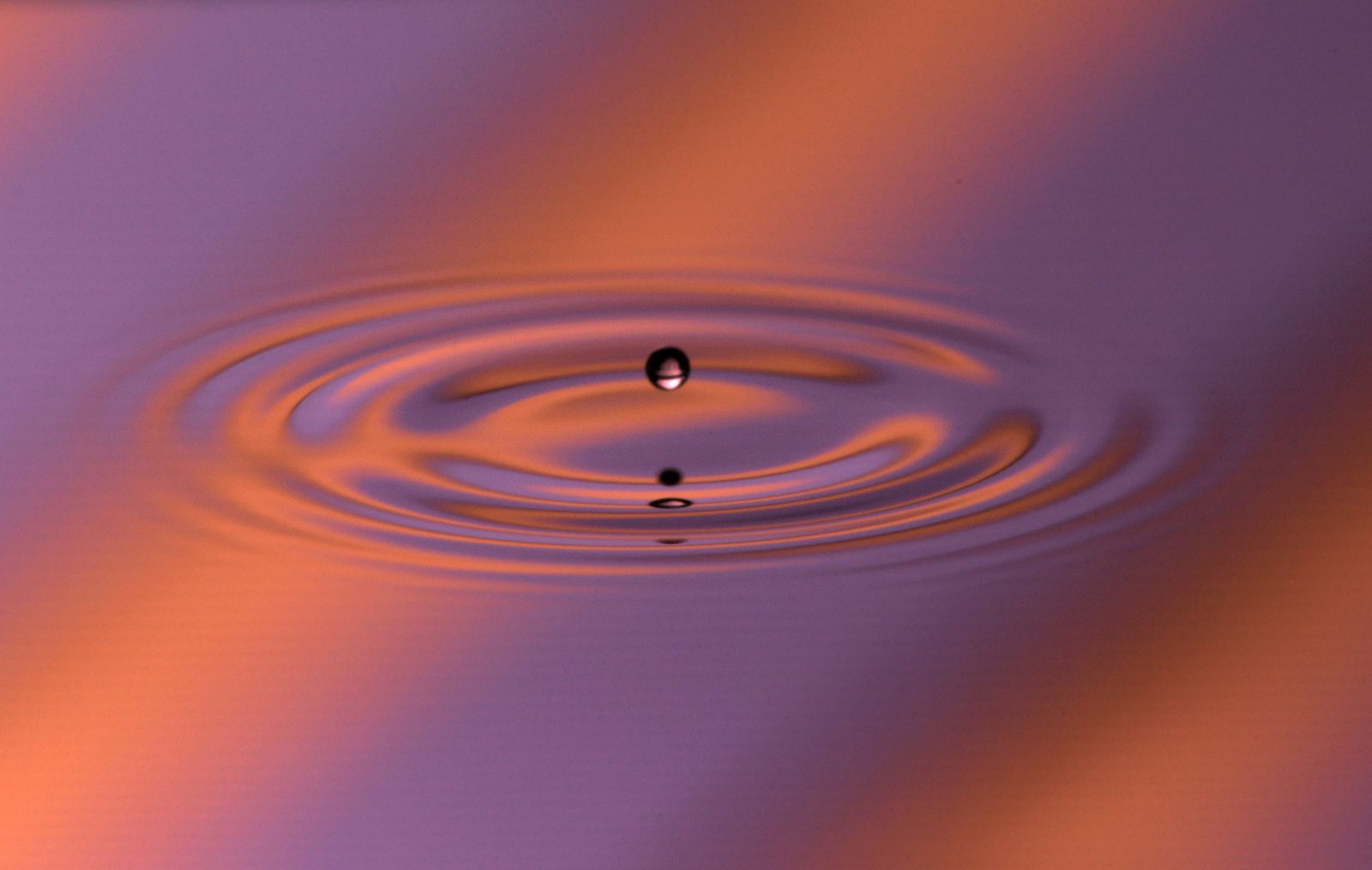 A small drop bouncing above concentric ripples on a liquid bath, lit in purple and orange.